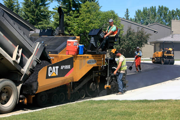 Best Luxury Driveway Pavers in Broadview Park, FL